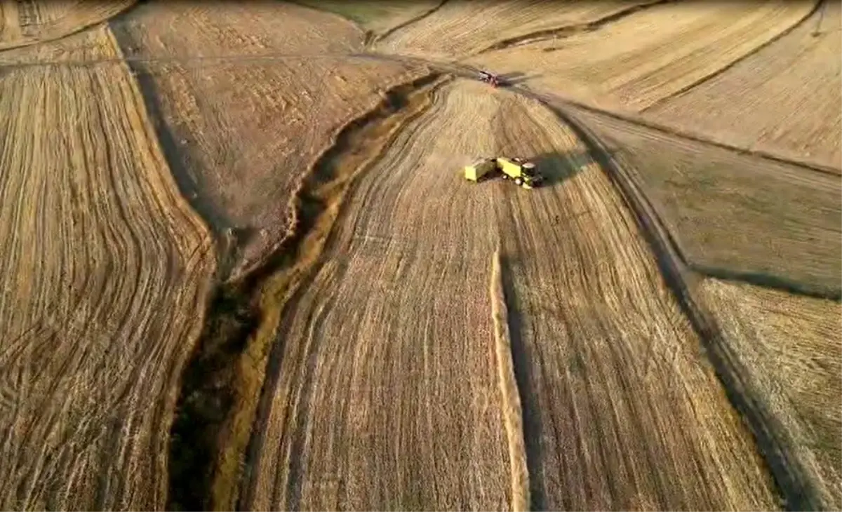 ardahanda hububat hasadi basladi xhlMr2GP