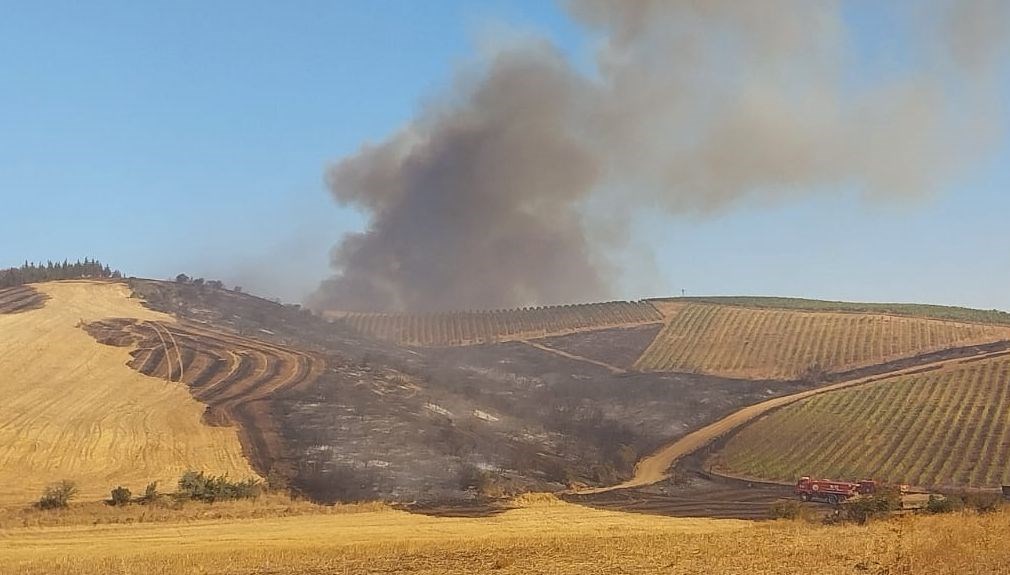 Çanakkale’de tarım arazisinde yangın