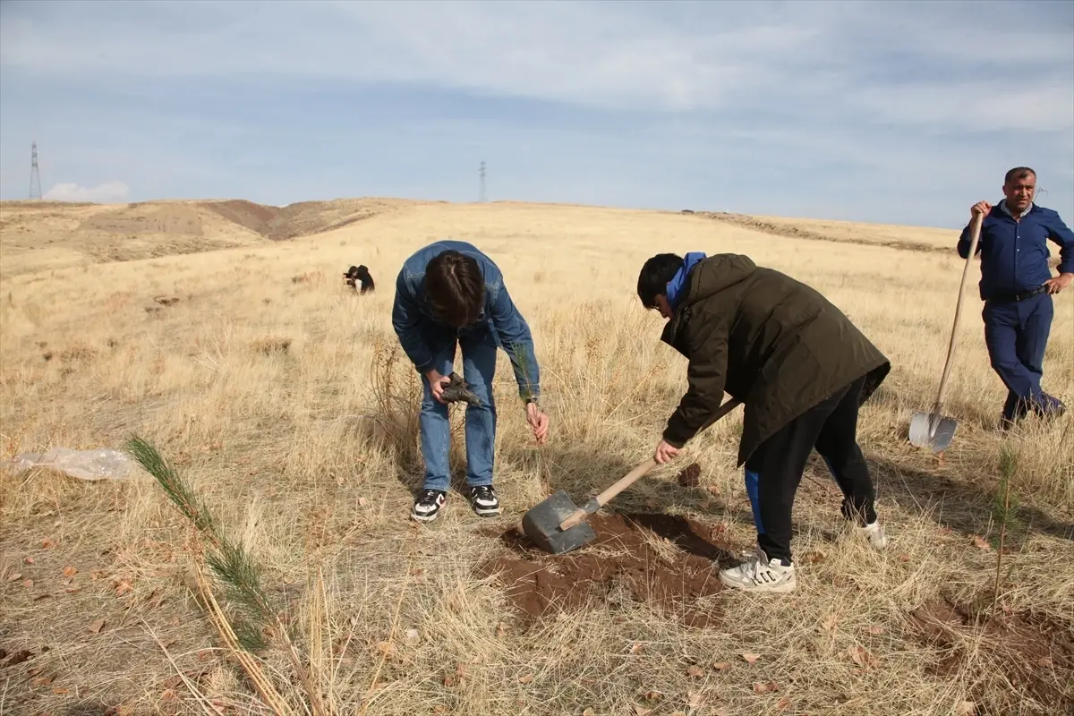 Ahlat’ta 3 Bin Fidan Dikildi