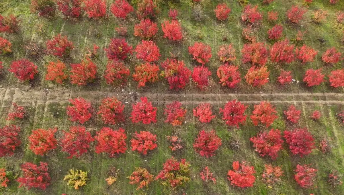 Bursa’da Sonbahar Güzellikleri Dronla Görüntülendi