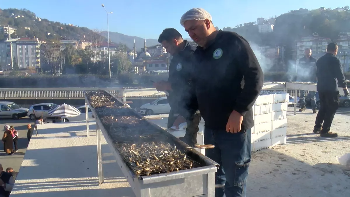Çayeli Hamsi Festivali Coşkusu