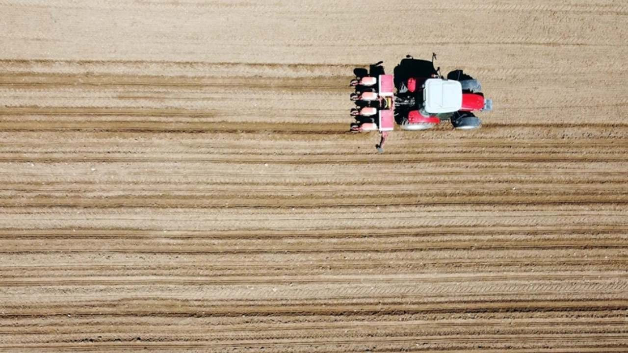 FAO’dan Türkiye’deki projelere 8,1 milyon dolarlık kaynak