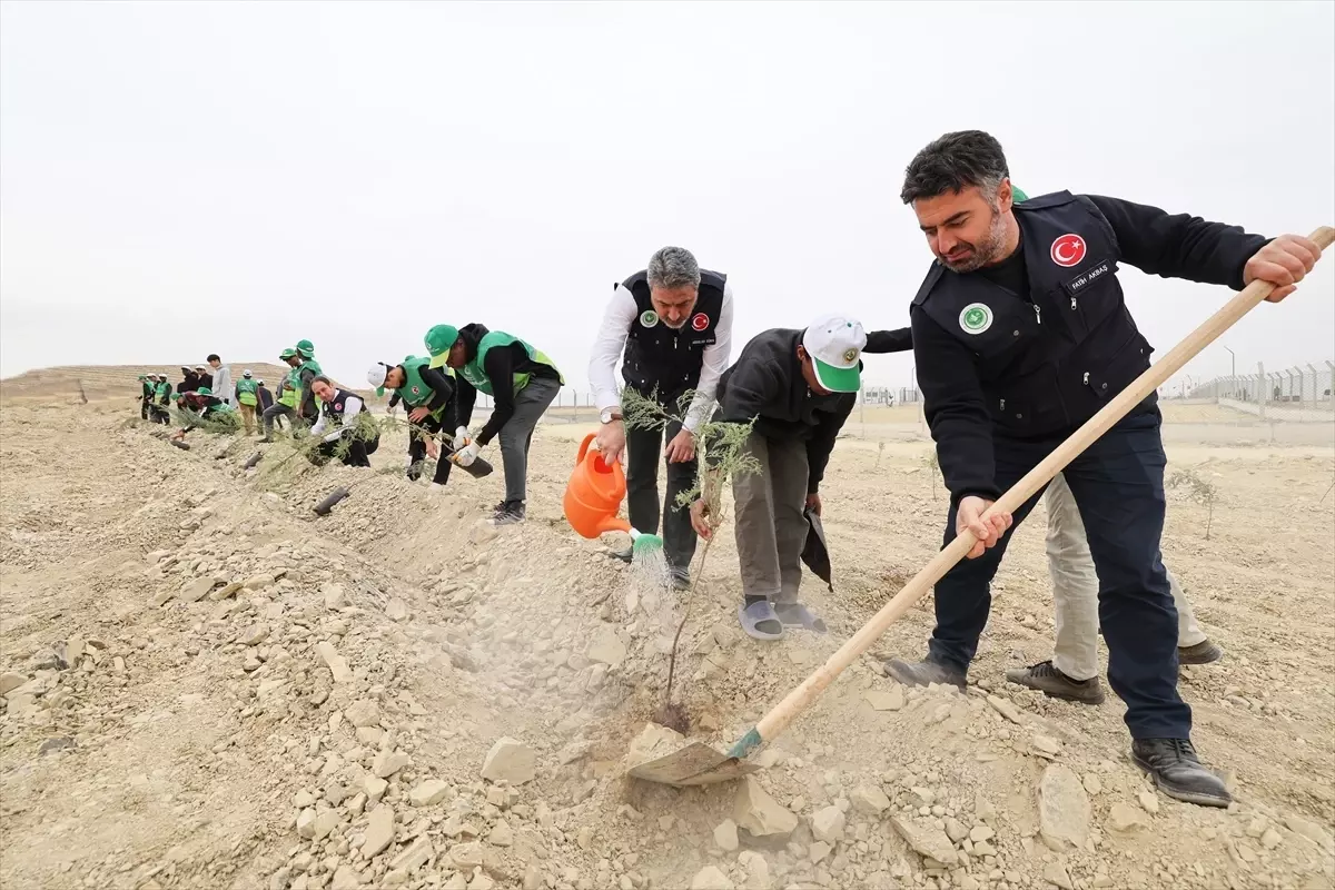 Malatya’da 11 Kasım Ağaçlandırma Günü Etkinlikleri Düzenlendi