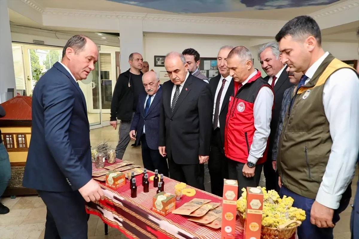 Ordu’da Arıcılık Projesinin Tanıtımı Yapıldı