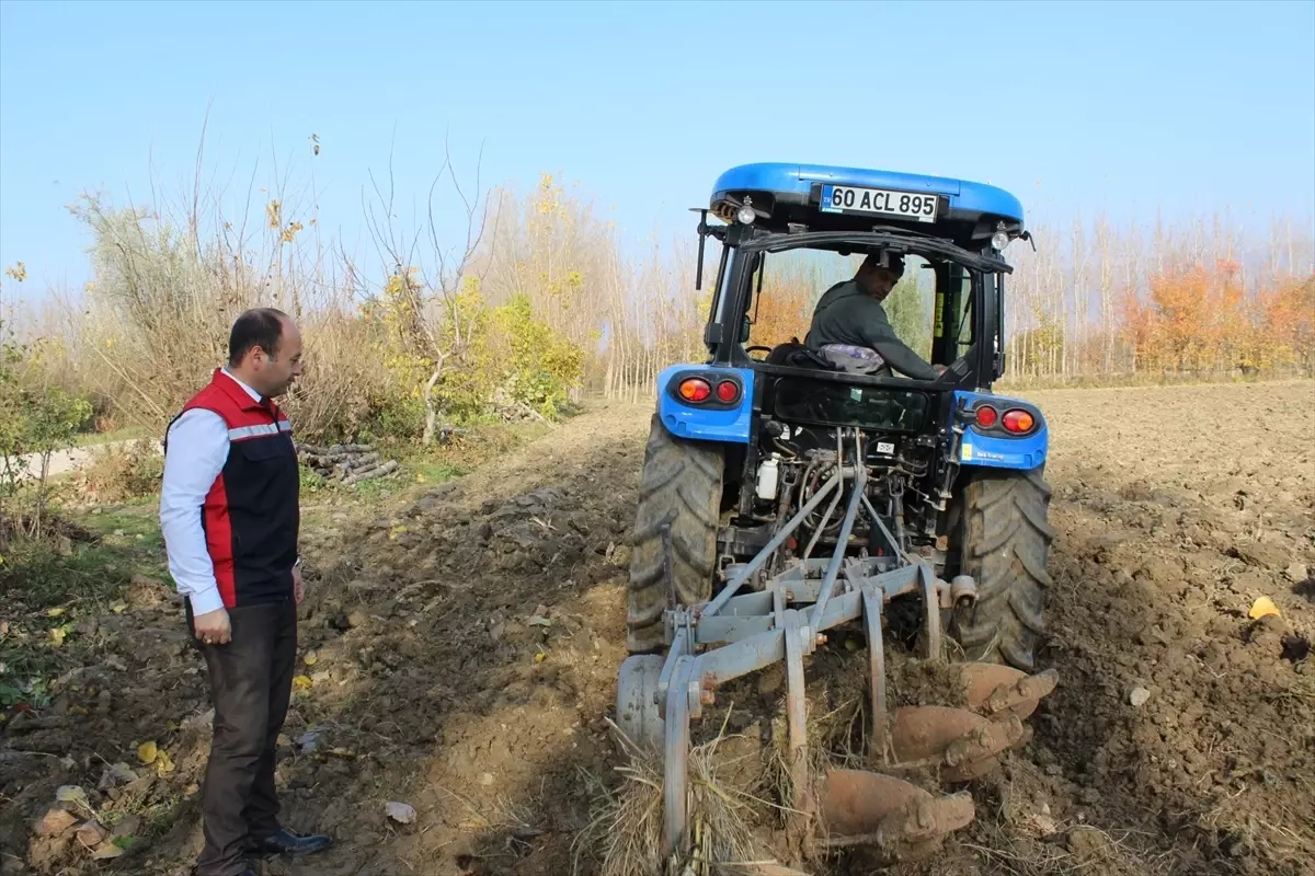 Tokat’ta Hububat Ekiminde Artış