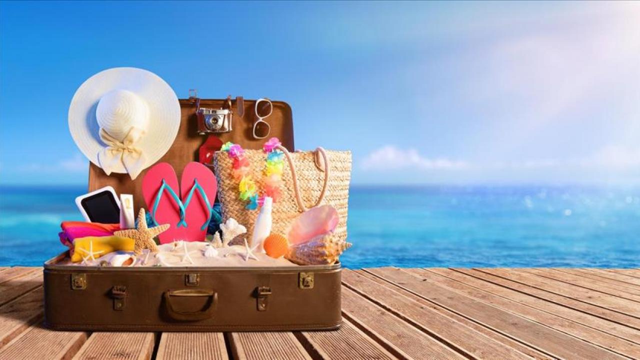 Bodrum’daki sinsi tuzağa dikkat! Tatil hayaliniz kabusa dönmesin