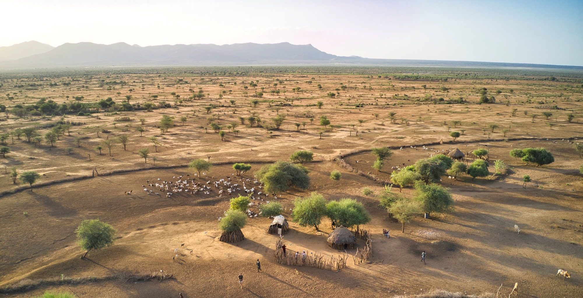 Etiyopya’da saldırıya uğrayan iki Türk vatandaşı hayatını kaybetti