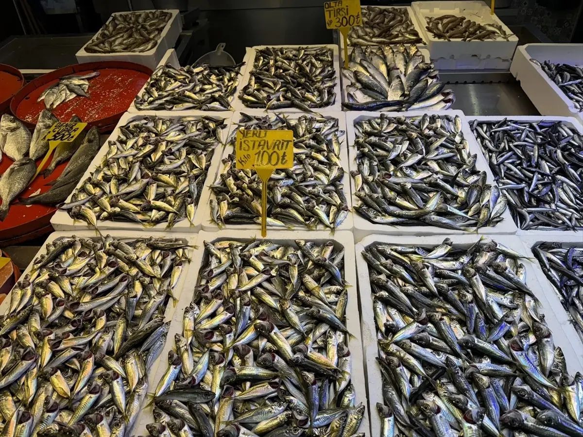 Trabzon’da Hamsi 100 Lira, İstavrit Popüler