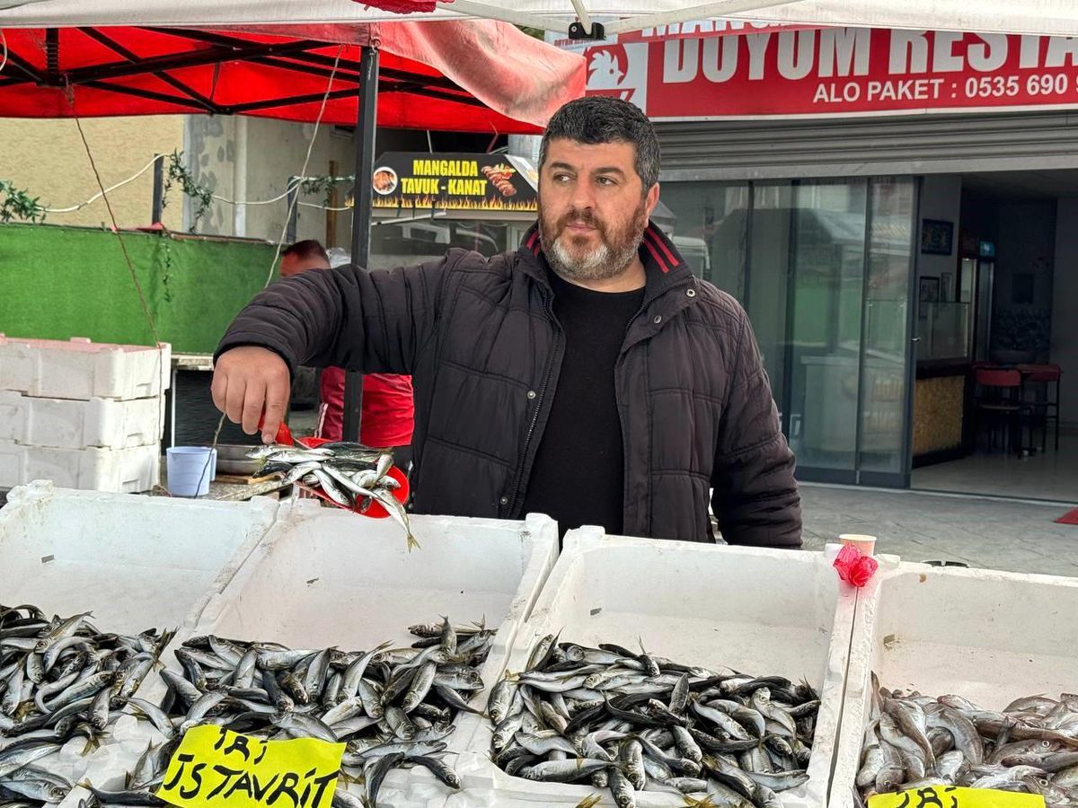 Zonguldak’ta İstavrit Bereketi
