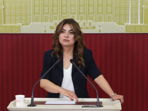 Dem parti grup baskanvekili kocyigit surecle ilgili cerceve yasa taslaginin bu hafta imrali heyetine Ilkwe63i