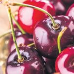 Yas meyve sebze ihracatinda ilk yari rekoru geldi 100 bin ton az 700 milyon rSGPP9va